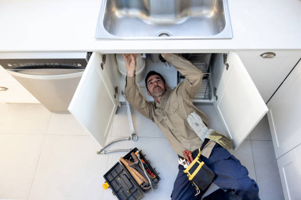 Best Clogged Drain Plumber  in Port Richey, FL